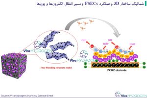 شماتیک و عملکرد FSECs و مسیر انتقال الکترون‌ها و یون‌ها