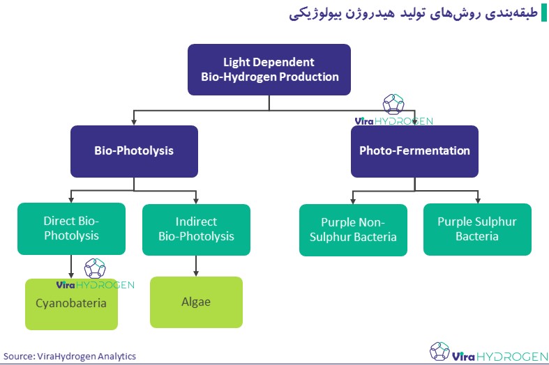 طبقه‌بندی روش‌های تولید هیدروژن بیولوژیکی 