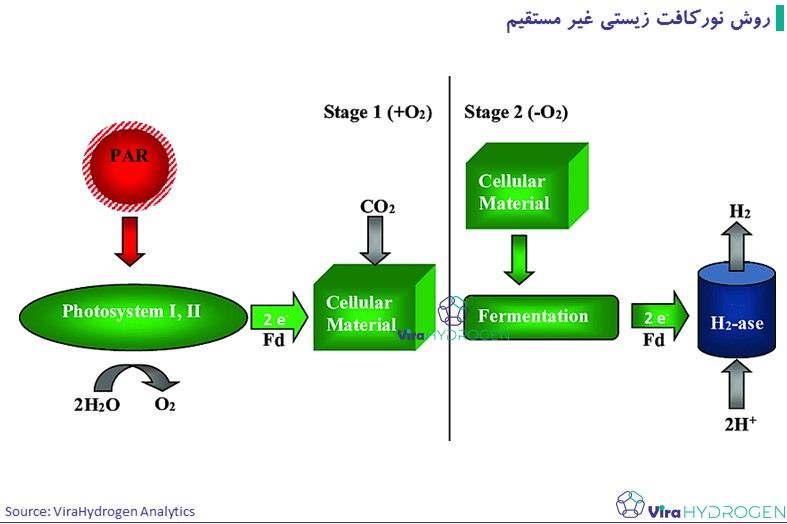 روش نورکافت زیستی غیر مستقیم