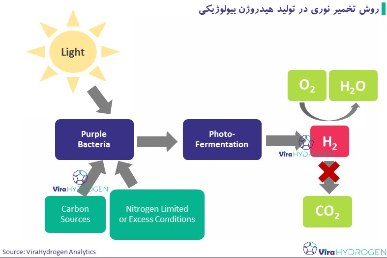 روش تخمیر نوری در تولید هیدروژن بیولوژیکی