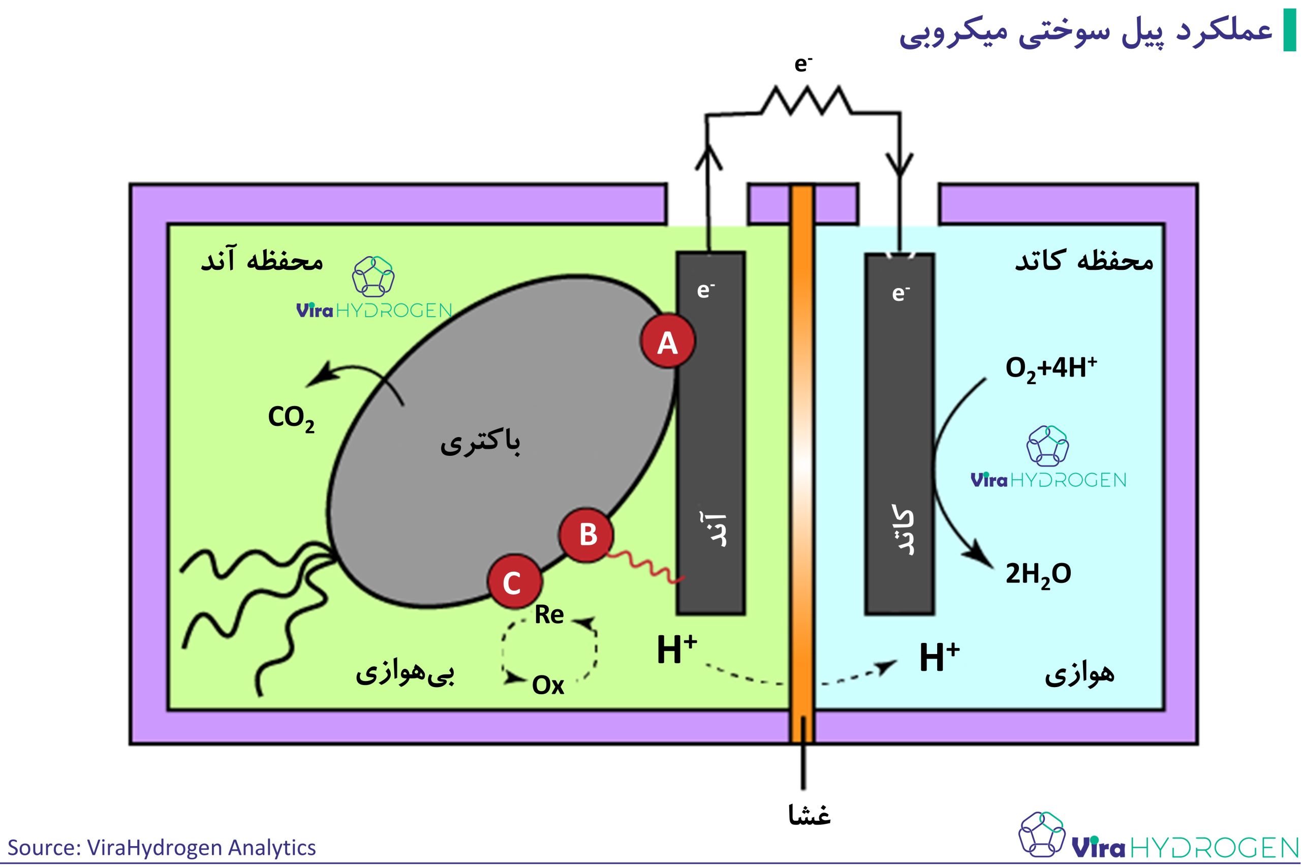 عملکرد پیل سوختی میکروبی